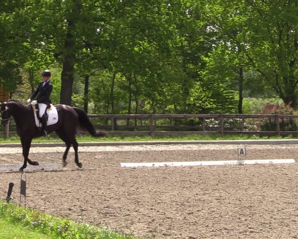 Reitturnier Schwanewede 2021