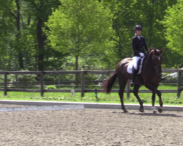 Reitturnier Schwanewede 2021
