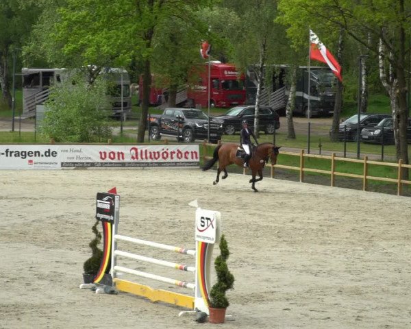 Reitturnier Westergellersen 2021