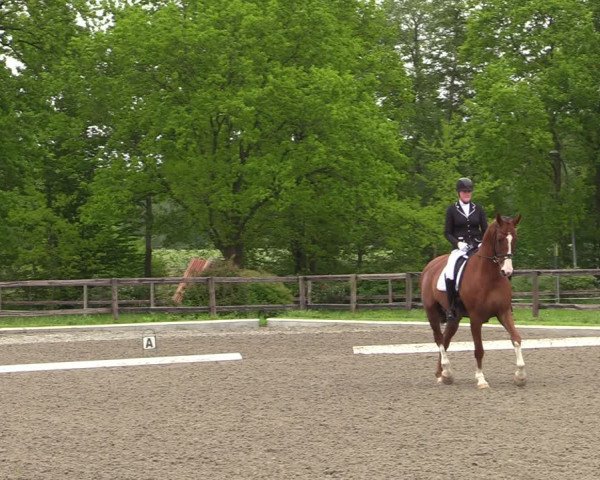 Reitturnier Schwanewede 2021