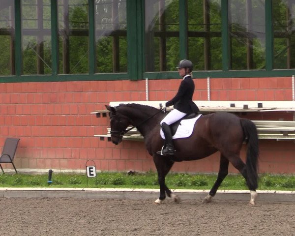 Reitturnier Schwanewede 2021