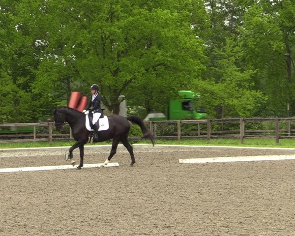 Reitturnier Schwanewede 2021