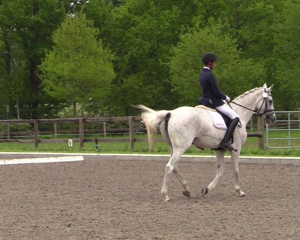 Reitturnier Schwanewede 2021