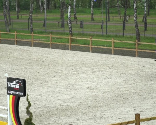 Reitturnier Westergellersen 2021