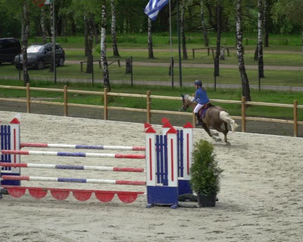 Reitturnier Westergellersen 2021