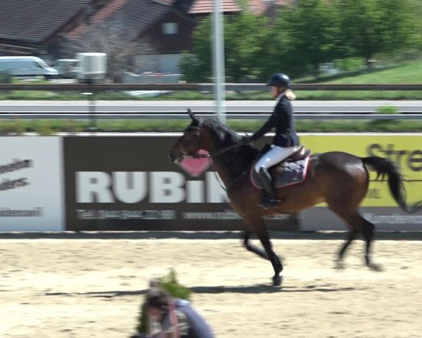 Reitturnier Wädenswil 2021