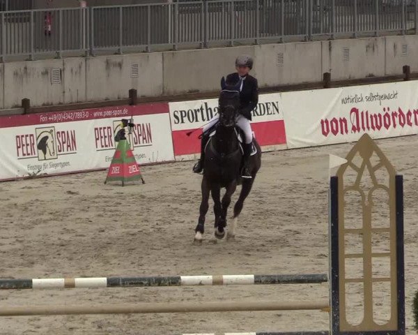 Reitturnier Westergellersen 2021