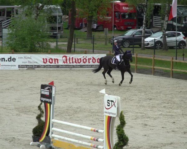 Reitturnier Westergellersen 2021