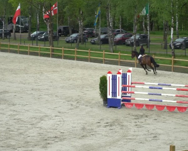 Reitturnier Westergellersen 2021