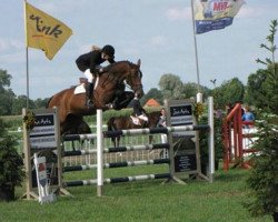 jumper Donna Perina (KWPN (Royal Dutch Sporthorse), 2008, from Lord Z)