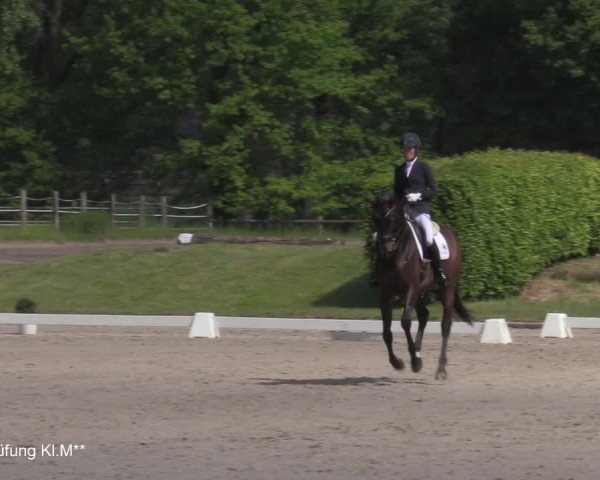 Reitturnier Münster-Handorf 2021