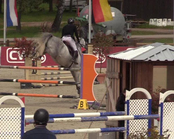 Reitturnier Westergellersen 2021