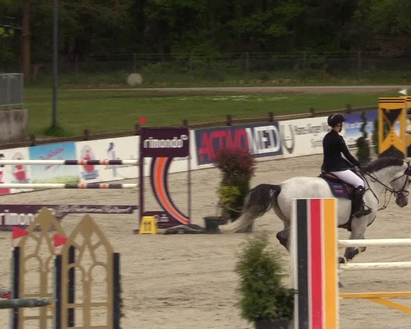 Reitturnier Westergellersen 2021