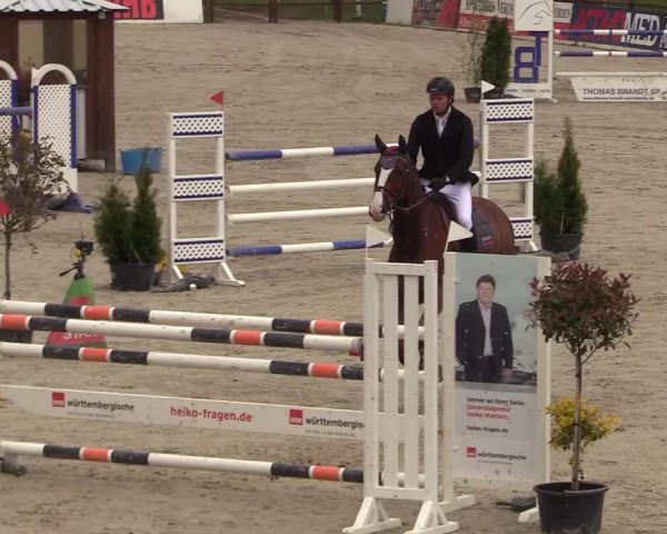 Reitturnier Westergellersen 2021
