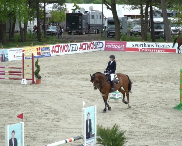 Reitturnier Westergellersen 2021