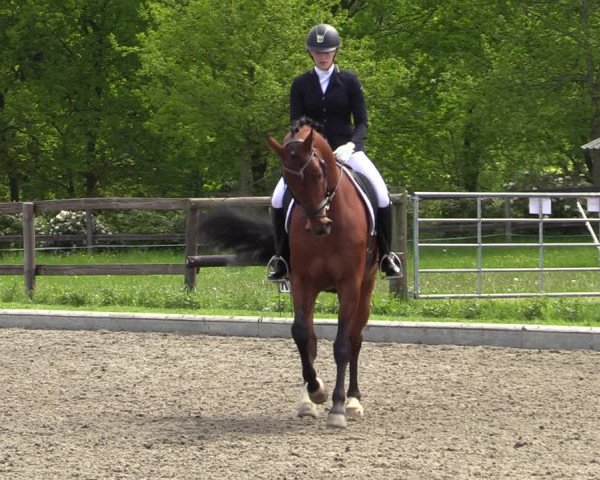 Reitturnier Schwanewede 2021