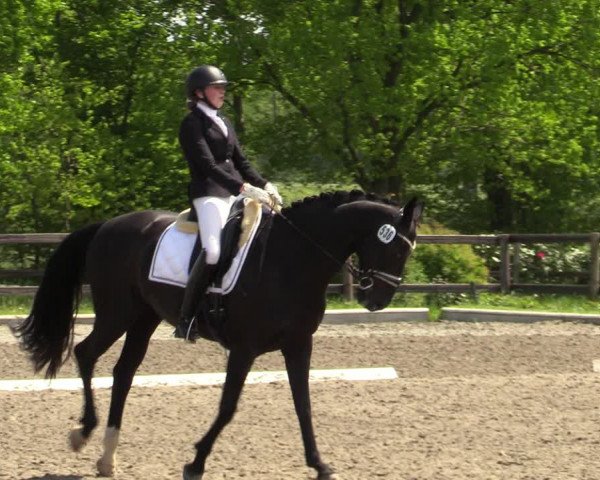 Reitturnier Schwanewede 2021