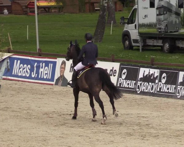 Reitturnier Westergellersen 2021