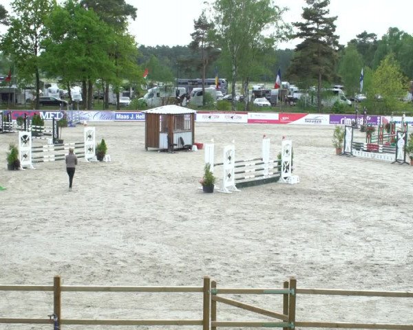 Reitturnier Westergellersen 2021