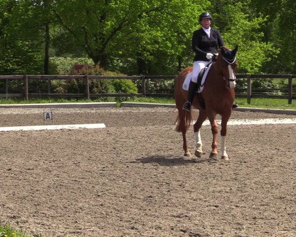 Reitturnier Schwanewede 2021
