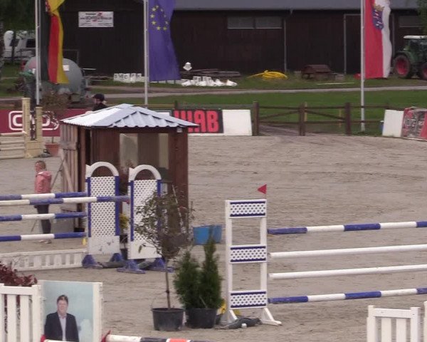 Reitturnier Westergellersen 2021