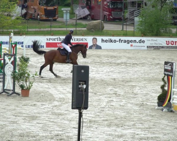 Reitturnier Westergellersen 2021