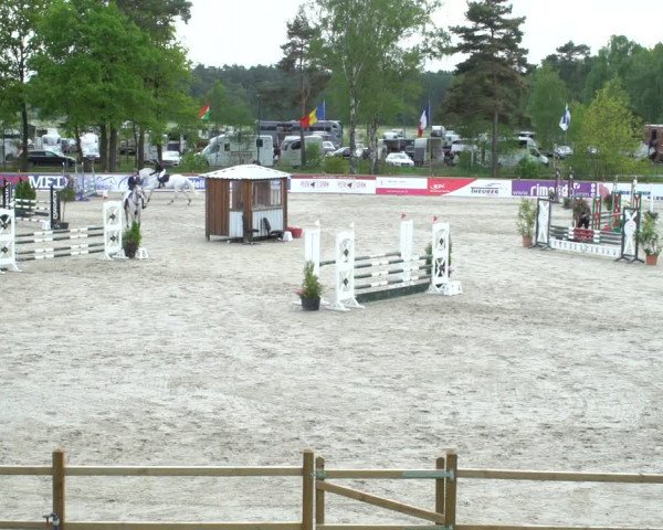 Reitturnier Westergellersen 2021
