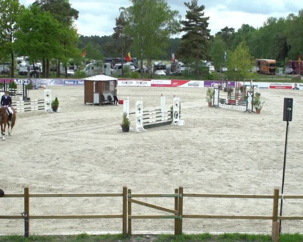 Reitturnier Westergellersen 2021