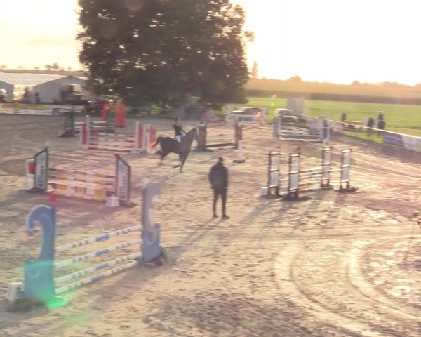 Springreitturnier Hohburg 2021