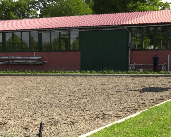 Reitturnier Schwanewede 2021