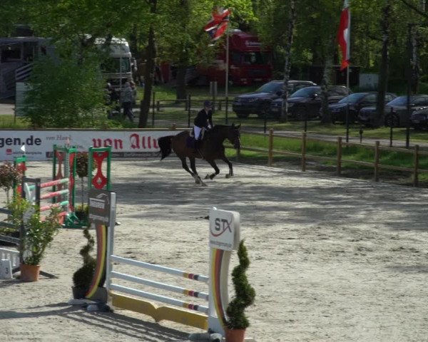 Reitturnier Westergellersen 2021