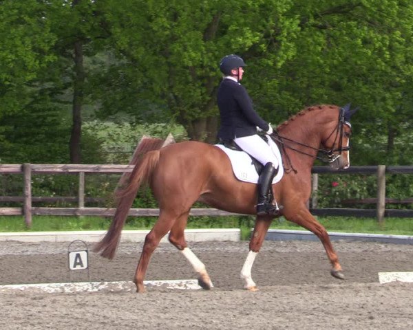 Reitturnier Schwanewede 2021