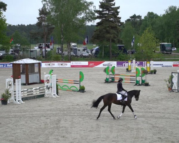 Reitturnier Westergellersen 2021