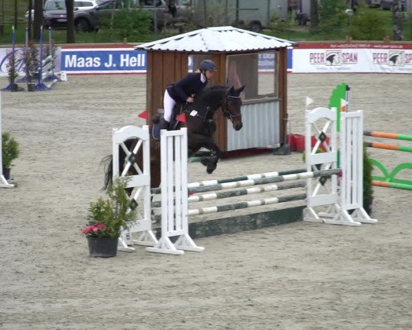 Reitturnier Westergellersen 2021