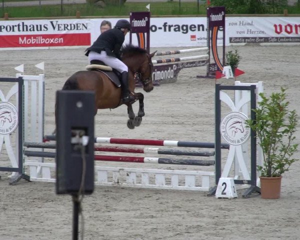 Reitturnier Westergellersen 2021