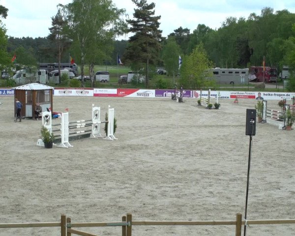 Reitturnier Westergellersen 2021