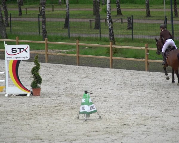 Reitturnier Westergellersen 2021