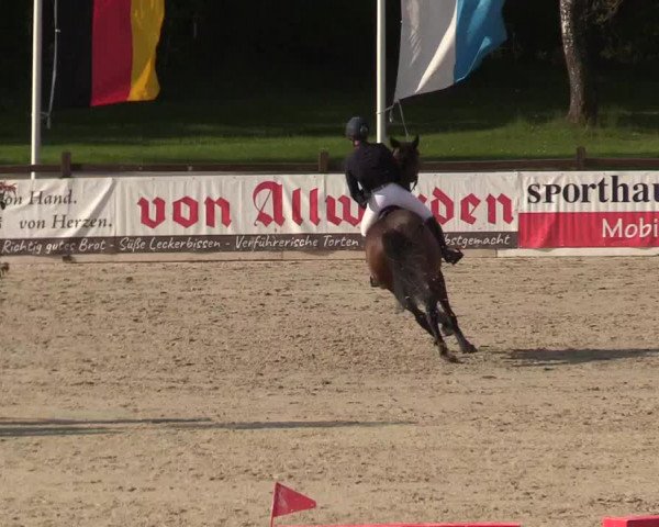 Reitturnier Westergellersen 2021