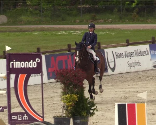 Reitturnier Westergellersen 2021