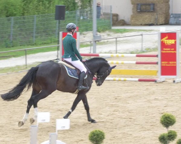 Reitturnier Zoltingen/Schw. 2021