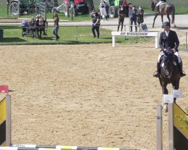 Reitturnier Zoltingen/Schw. 2021