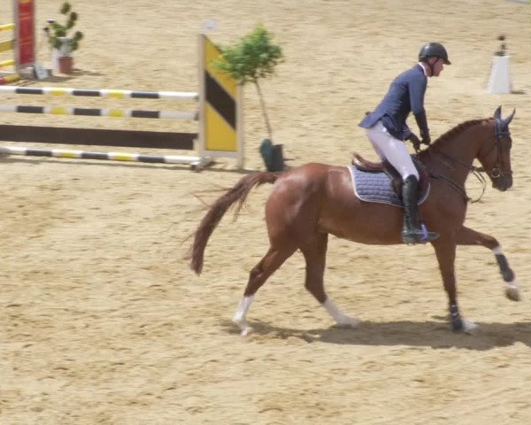 Reitturnier Zoltingen/Schw. 2021