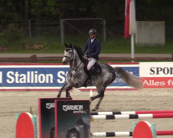 Reitturnier Westergellersen 2021