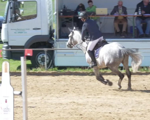Reitturnier Zoltingen/Schw. 2021
