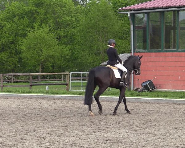 Reitturnier Schwanewede 2021