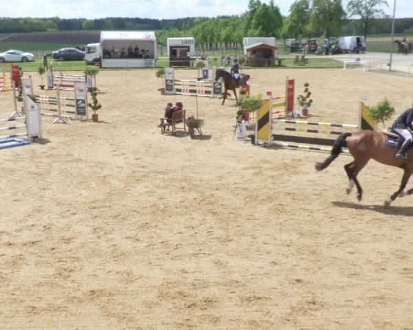 Reitturnier Zoltingen/Schw. 2021