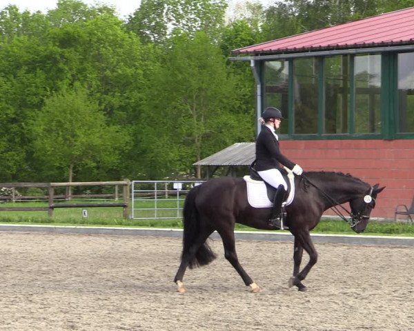 Reitturnier Schwanewede 2021