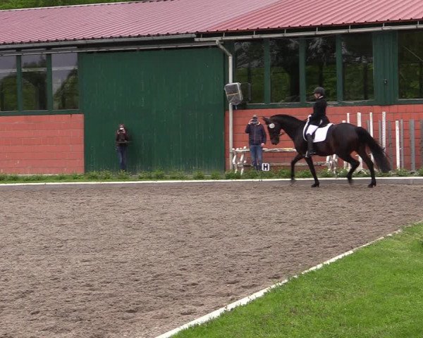 Reitturnier Schwanewede 2021