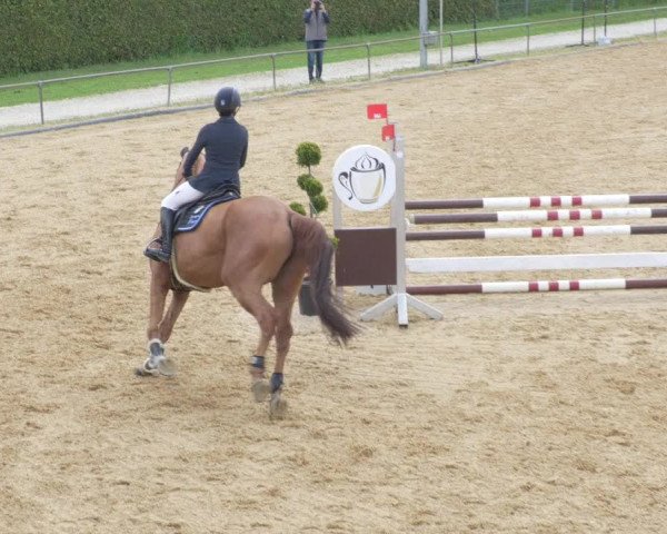 Reitturnier Zoltingen/Schw. 2021