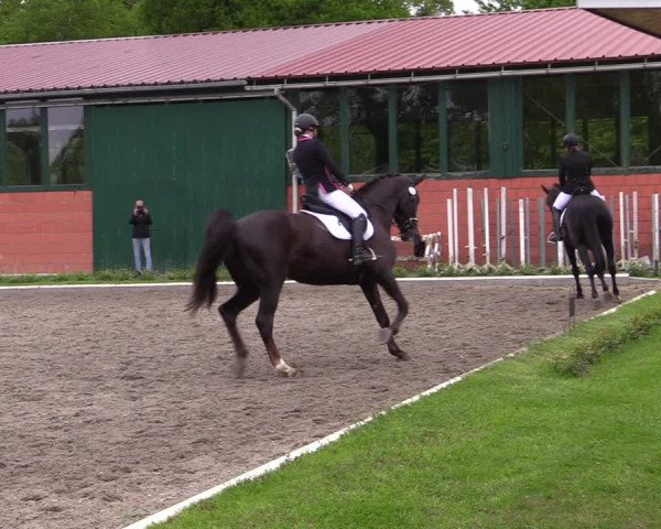 Reitturnier Schwanewede 2021